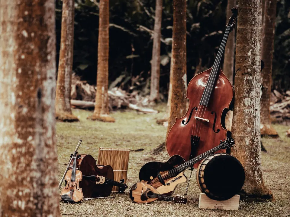 Contrebasse, violon, guitare, mandoline et percussions du groupe posés au pied des arbres