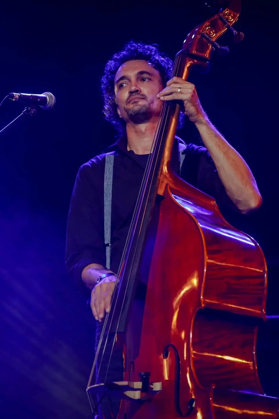 Archives — la contrebasse